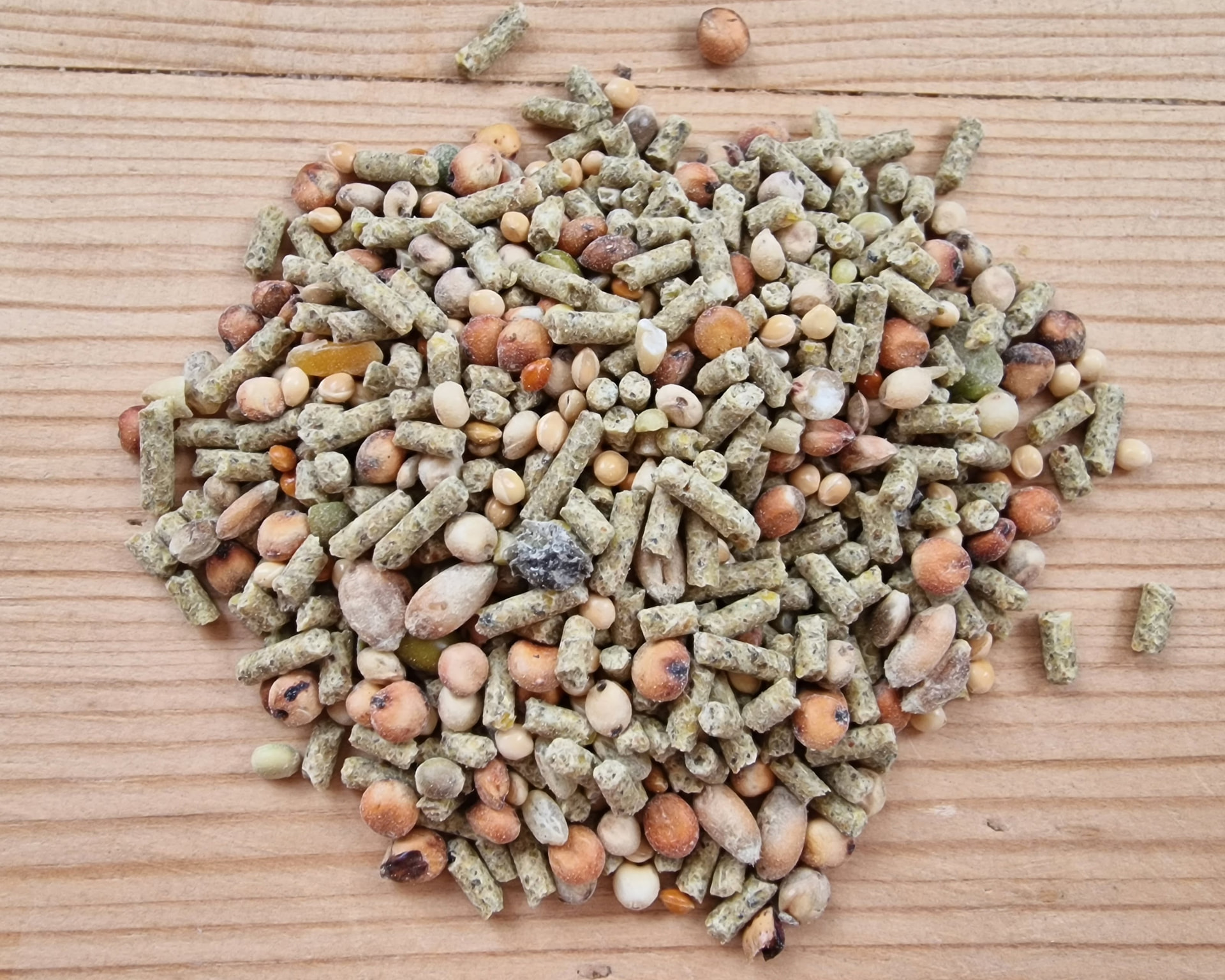 Nærbilde av Garvo 5036 Vaktelmix med pellets, korn og frø