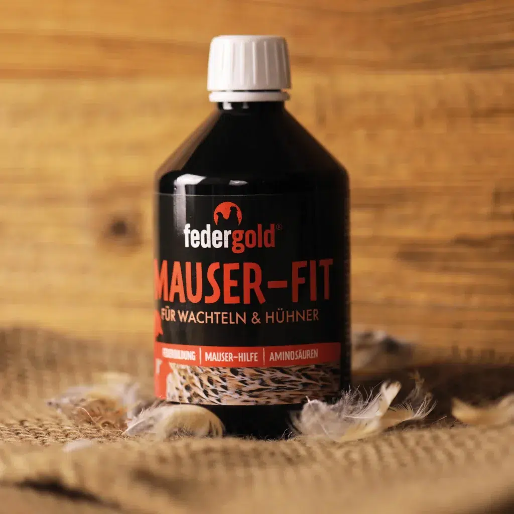 Mauser-Fit